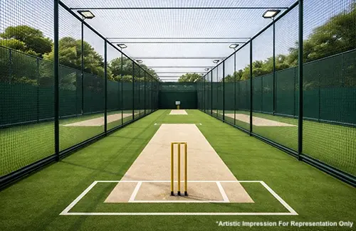 Cricket Practice